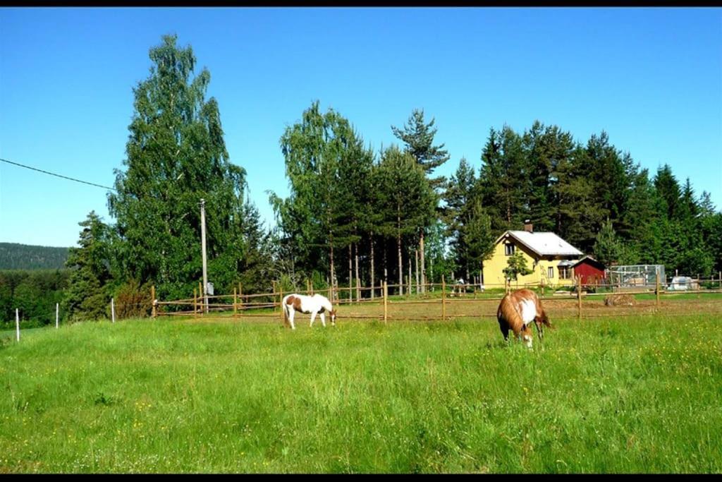 Little Forest House "Our Little Farm" Ekshärad Εξωτερικό φωτογραφία