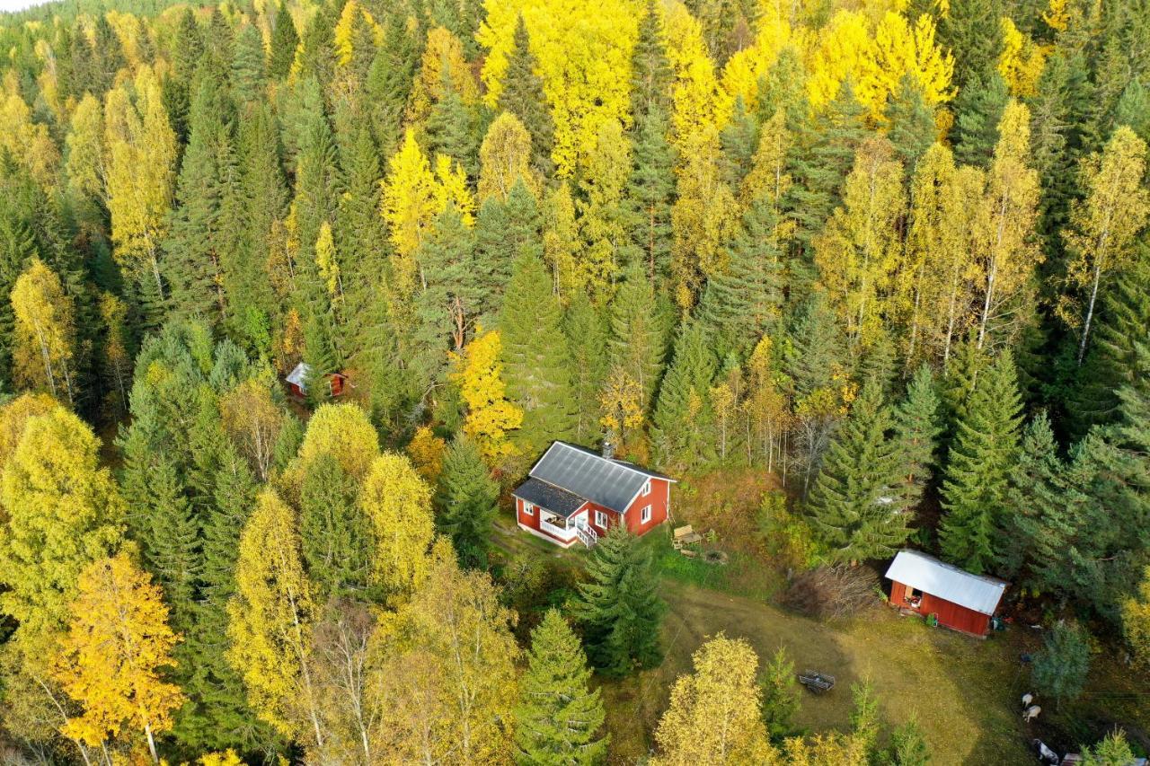 Little Forest House "Our Little Farm" Ekshärad Εξωτερικό φωτογραφία